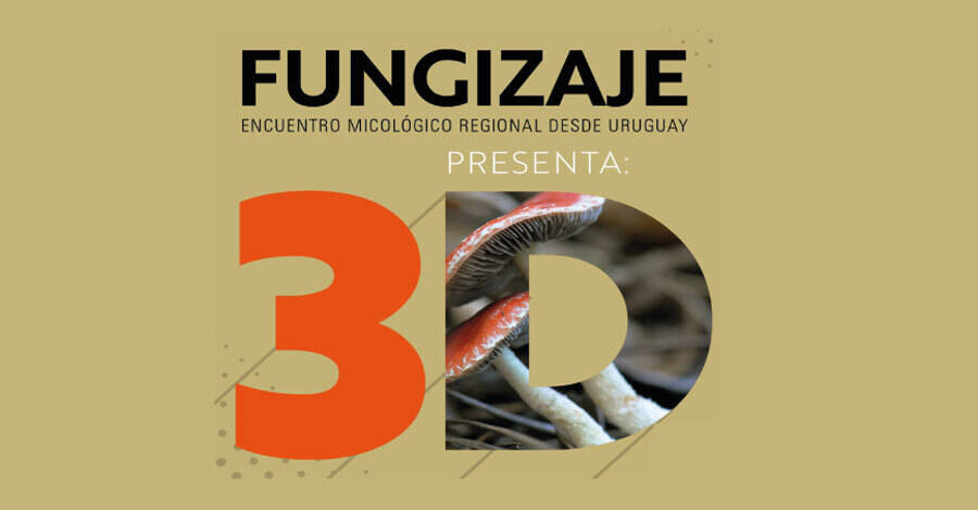fungizaje