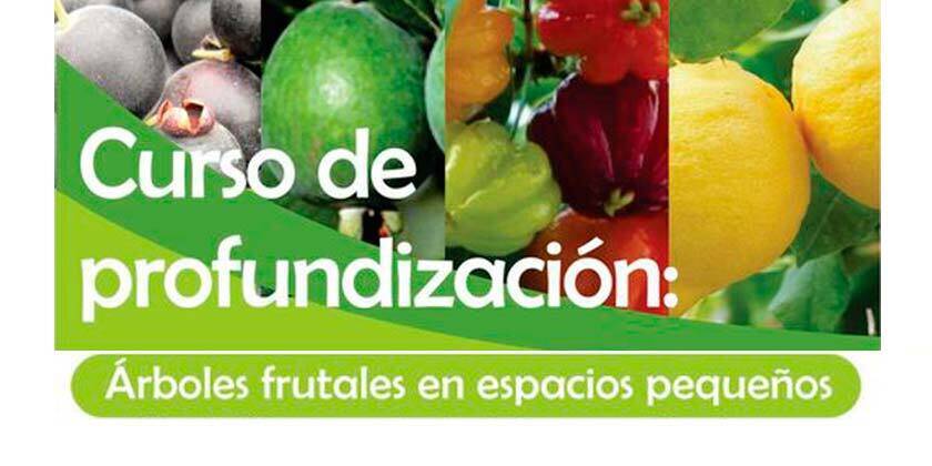 curso de profundizacion cbp