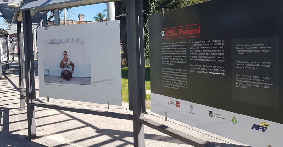 nada crece a la sombra