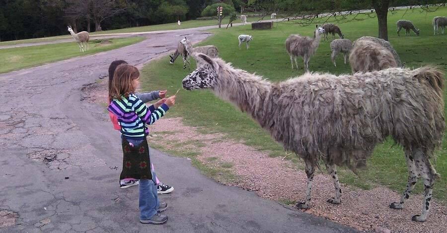 Colón Portal - Servicios de la Intendencia abiertos en feriado de carnaval