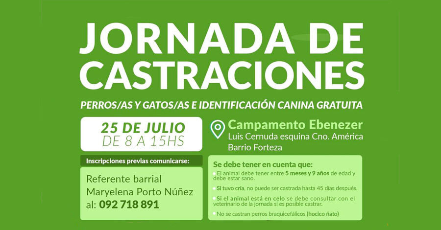 Jornada de Castraciones de perros y gatos en el Campamento Ebenezer