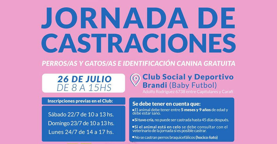Jornada de Castraciones de perros y gatos en el Club Social y Deportivo Brandi