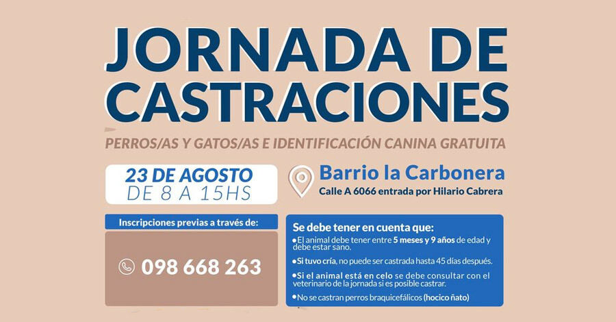 Jornada de Castraciones de perros y gatos en el Barrio La Carbonera