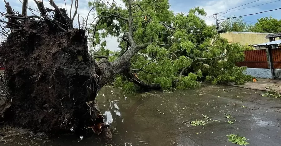 turbonada sayago penarol 05