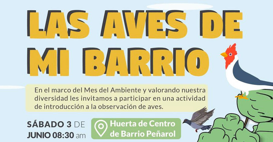 Taller gratuito de introducción a la observación de aves