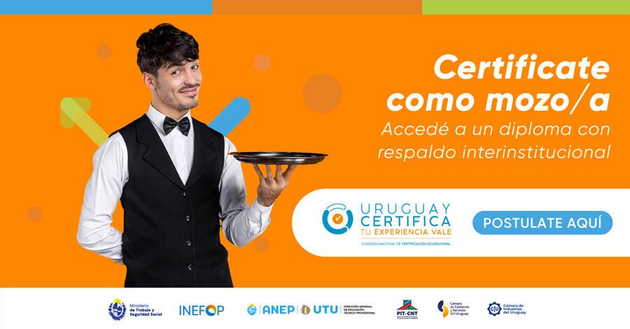 Certificate como Mozo/a