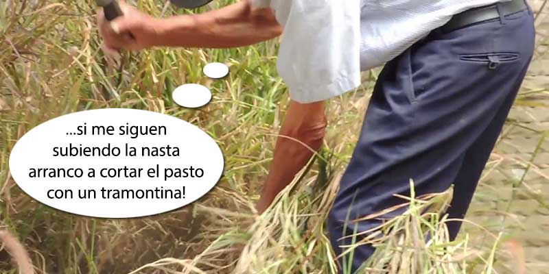 121 de poda y otras yerbas