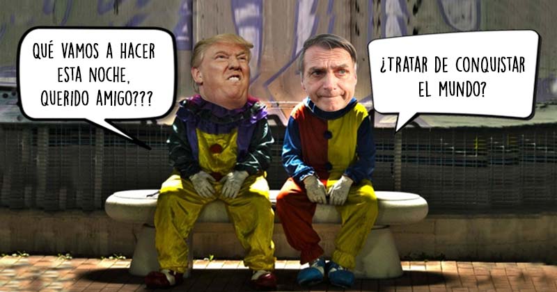 Humor de Viernes Viene de Bolso 2