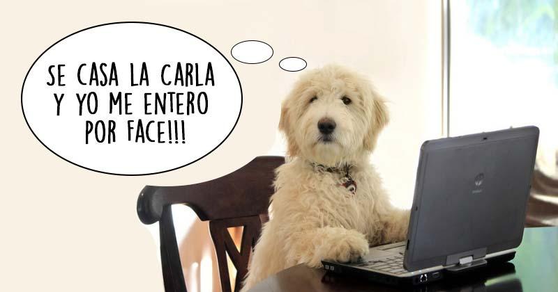 Humor de viernes Cosa Sana