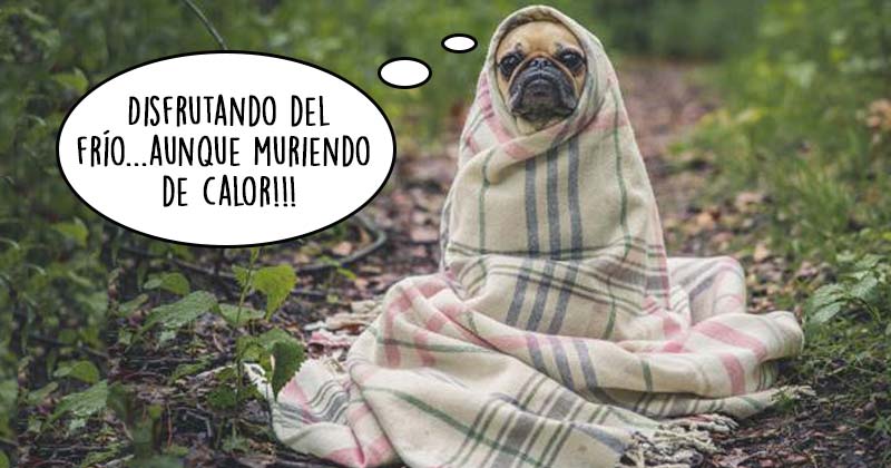 Humor de viernes La silla del cuarto