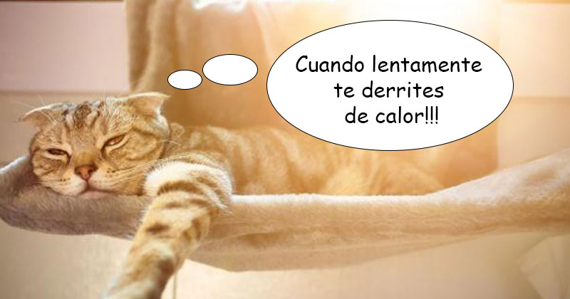 Humor de viernes Me redito