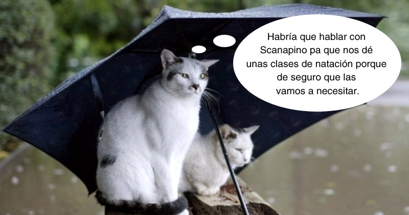 Humor de viernes Parece que va a llover