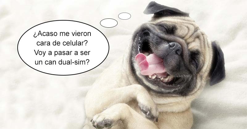 Humor de viernes Perros calientes