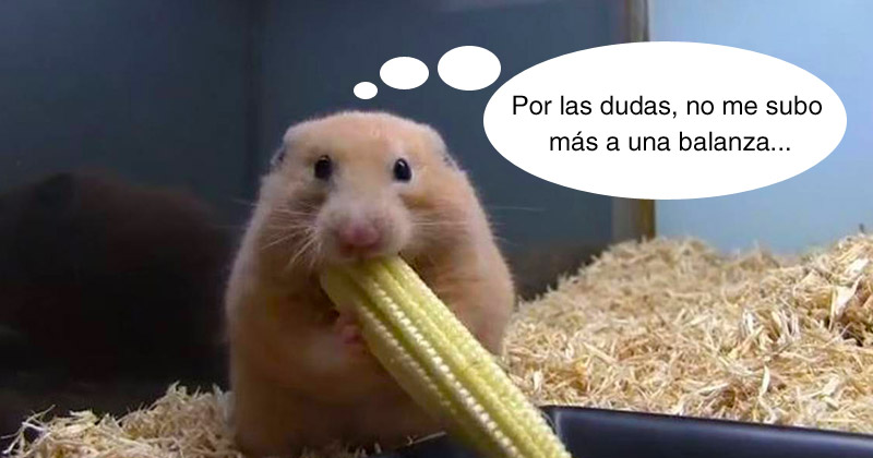 Humor de viernes Solo por hoy