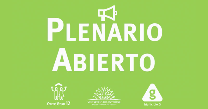 Plenario Abierto Colegio Pio