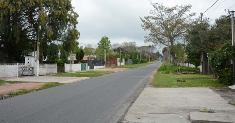 arreglos en lezica prontps