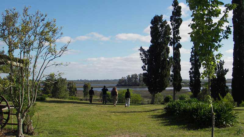 camino a los humedales