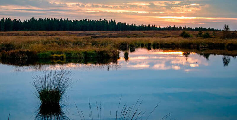 dia mundial de los humedales 2021