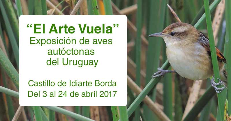 el arte vuela exposicion en el castillo