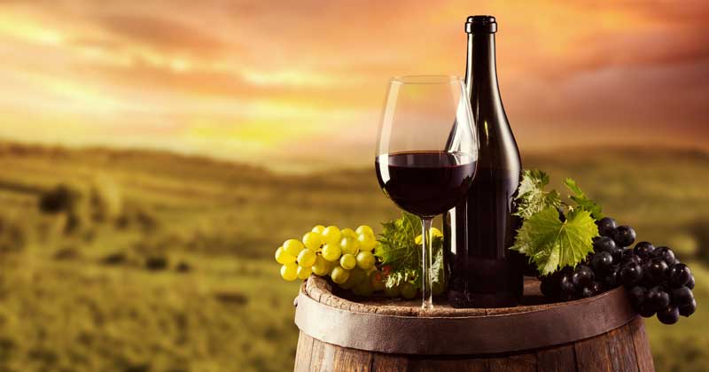 fiesta de la vendimia 2018