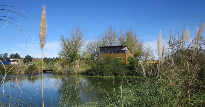 humedales de la macarena