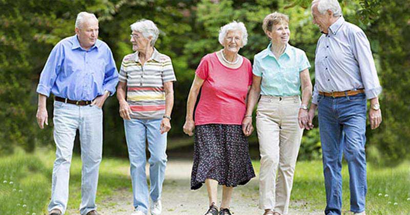 reunion de adultos mayores