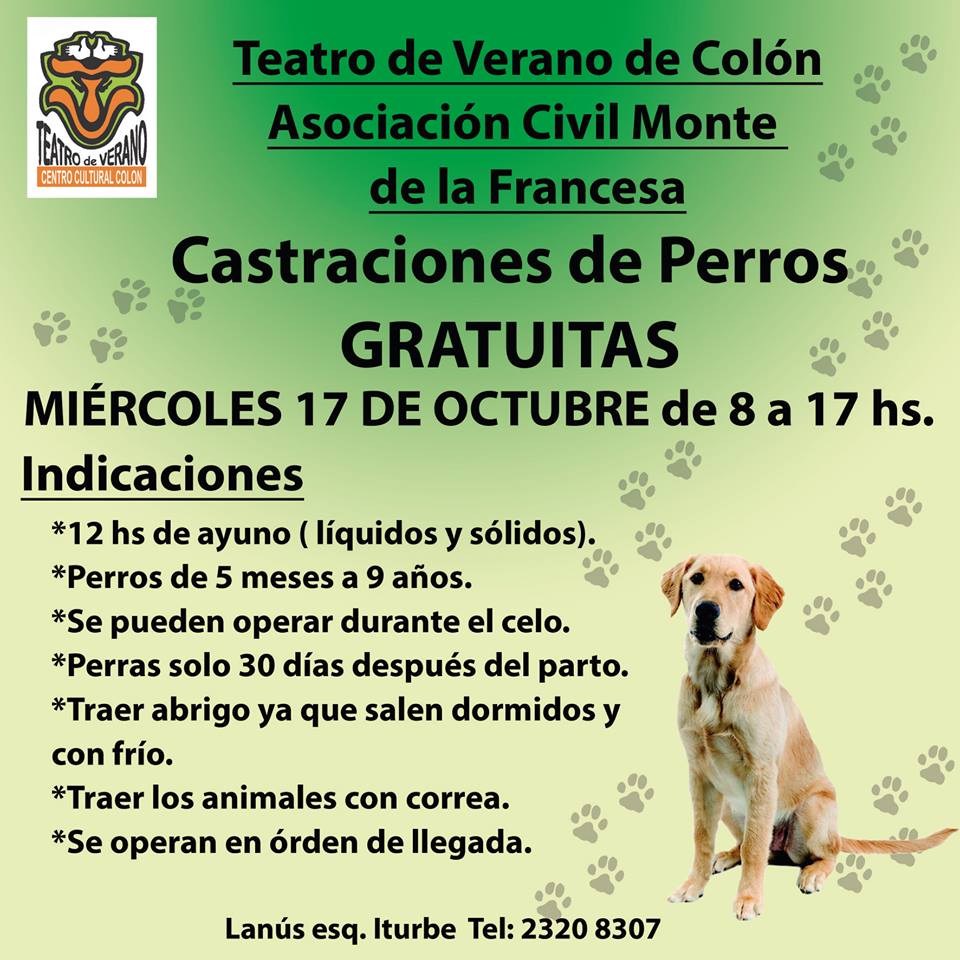 castraciones gratuitas en el teatro de verano afiche
