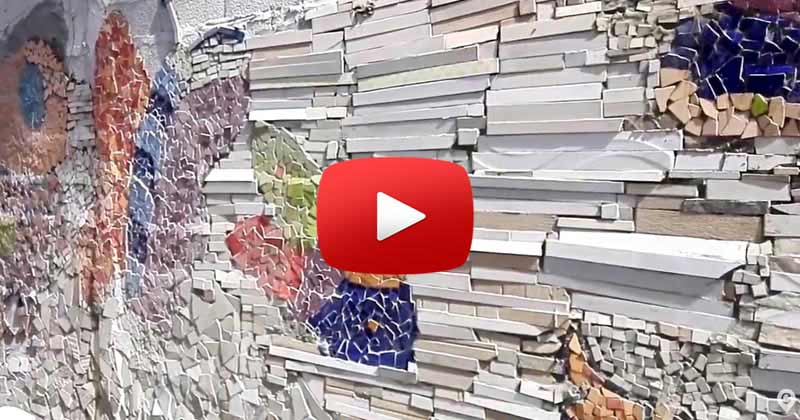 proyecto mariposa 2018