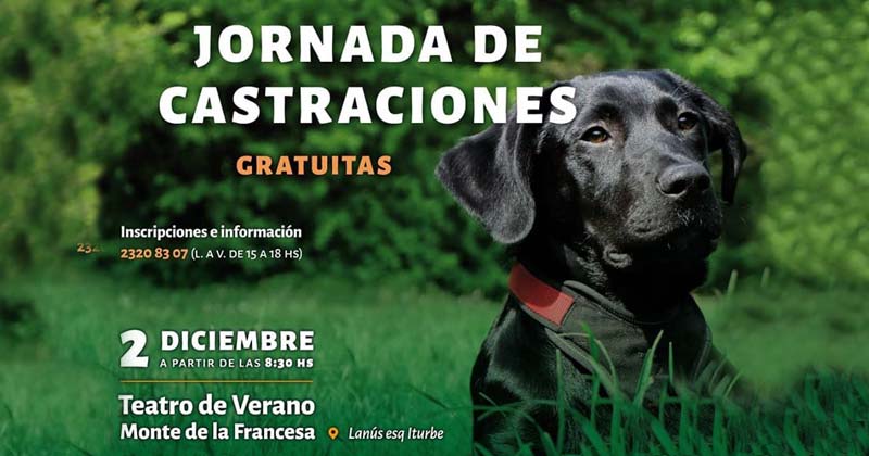 jornada de castraciones en el teatro de verani
