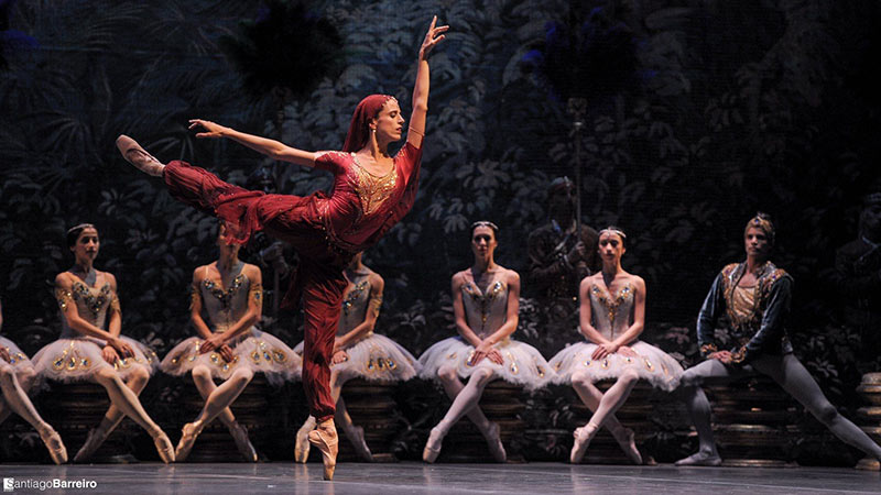 29 abril dia de la danza