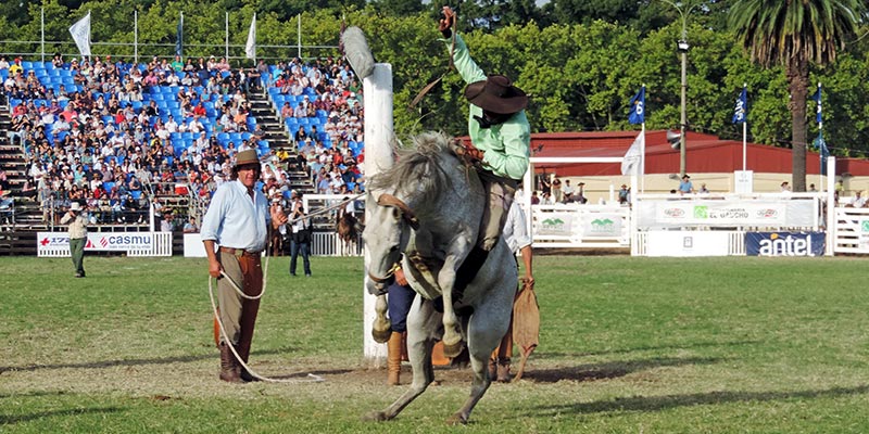 un paseo por la criolla 2016 jineteada