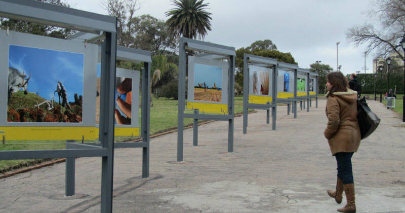 fotogalaria en el prado 2020