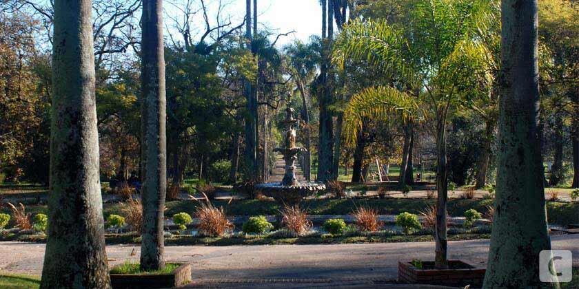 jardin botanico