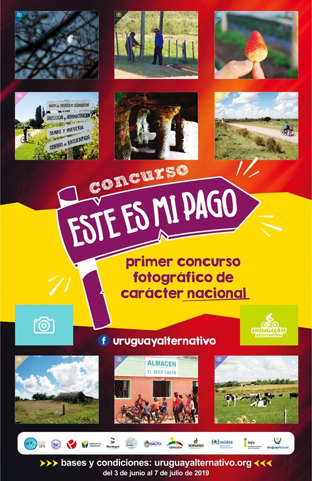 afiche concurso de fotografia