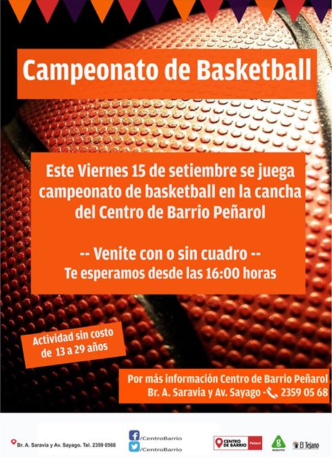 capeonato de basketball afiche