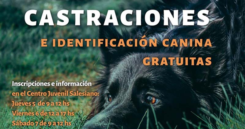 castraciones diciembre 2109 cjs