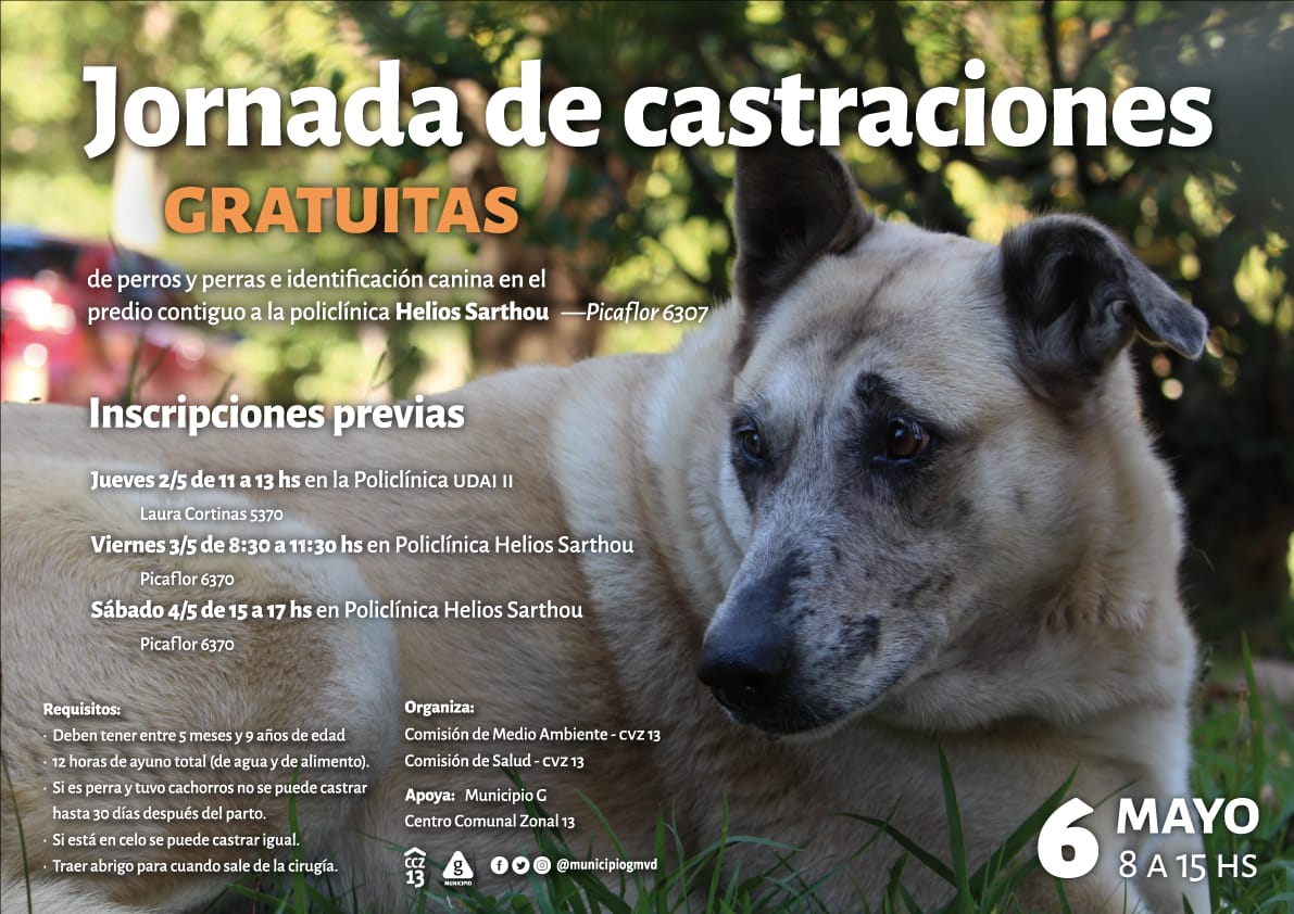 castraciones sayago afiche