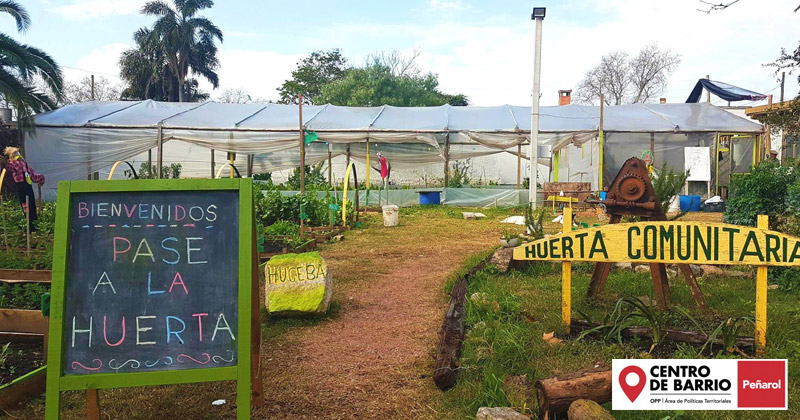 curso huerta organica centro