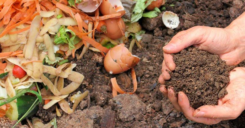 curso onlines de compost