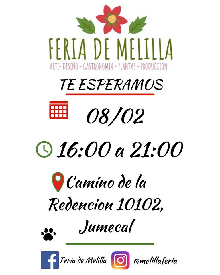 feria de melilla afiche febrero 2020