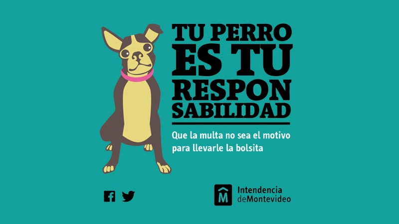 imagen de afiche tu perro tu responsabilidad