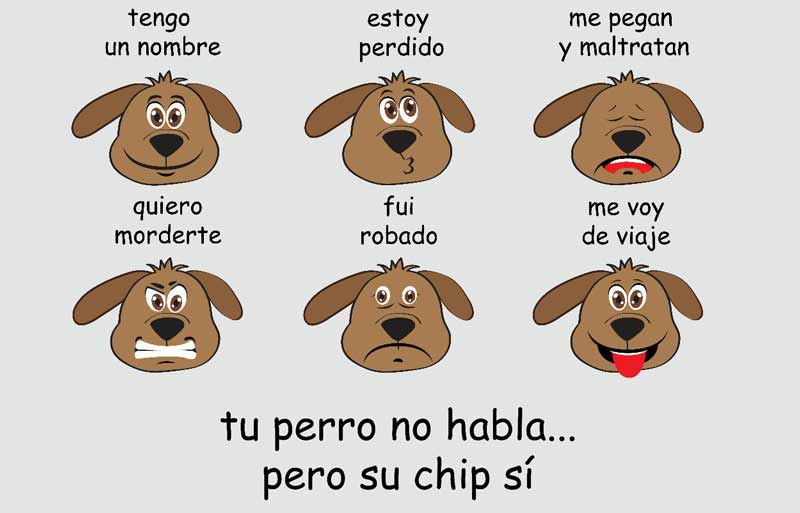 tu perro no habla pero su chip si