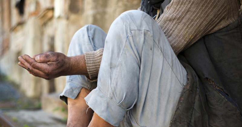 nuevo refugio en sayago 2020