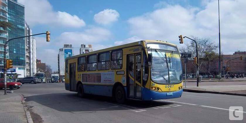 paro de ucot viernes