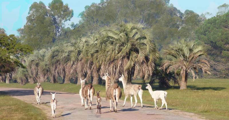 parque lecocq semana de turismo 2019