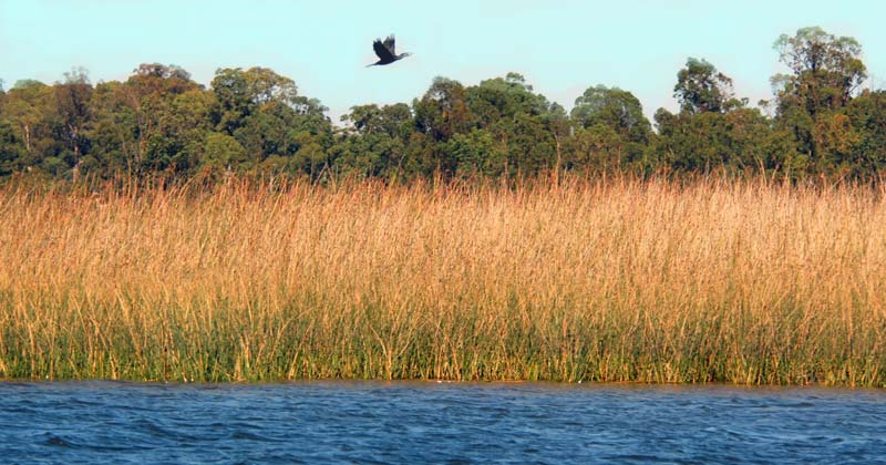 paseos y charlas sobre humedales de santa lucia