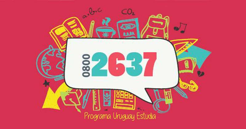 programa orientacion educacional