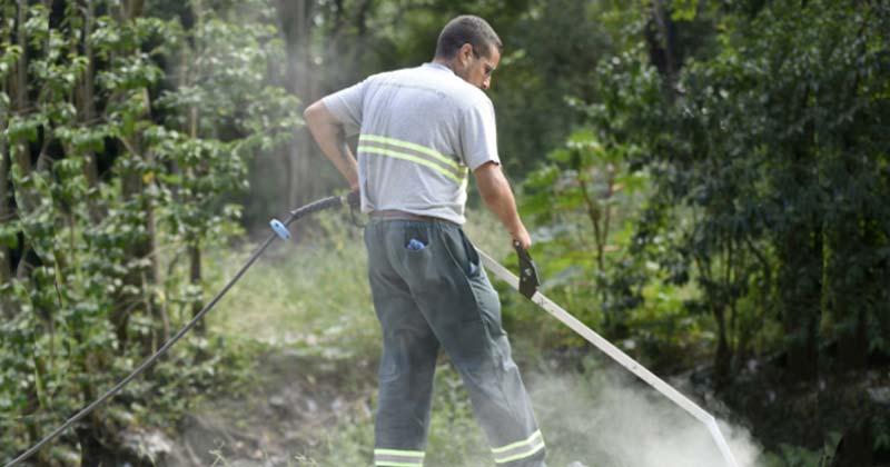 programa para dar tranbajo temporal de la intendencia 2020